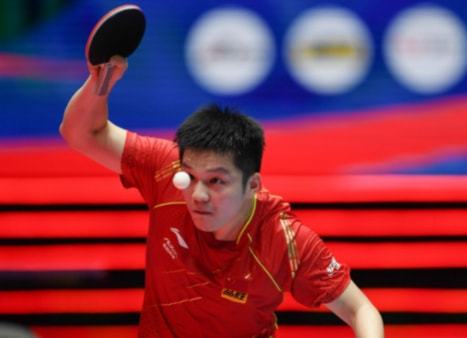 查明事实真 查明事实真